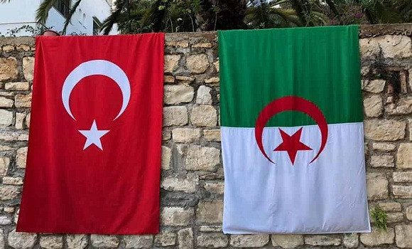Algeria and Turkey, allies in search of a common strategy