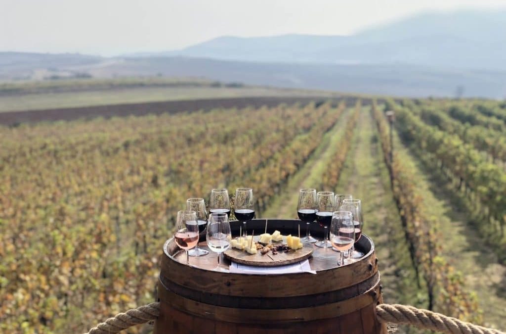The amazing story of the « eternal wine » that intrigues Turkey