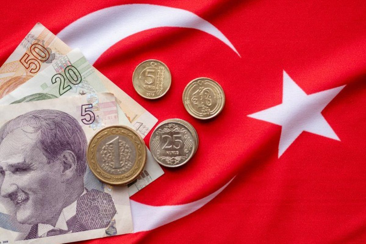 Understanding Labour Minimum Wage in Turkey Impact and Implications